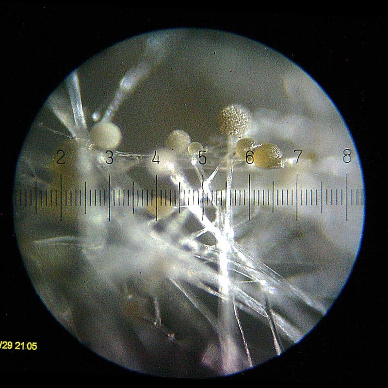 Filtro Habitáculo Mahle LA231